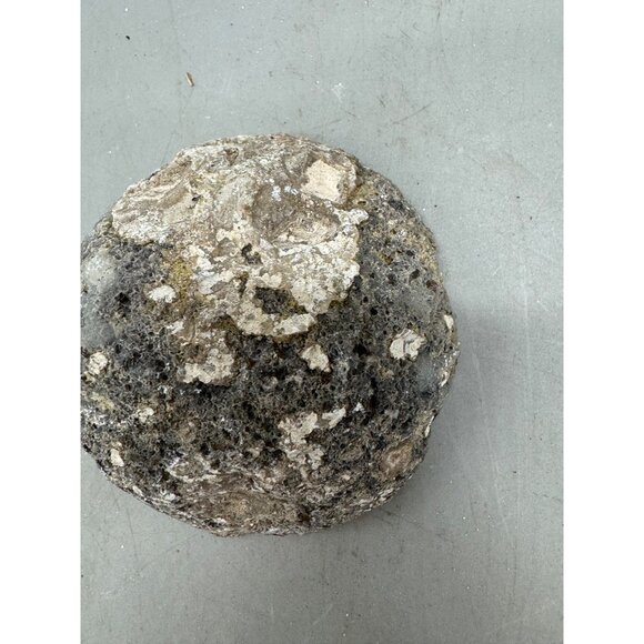 Natural Geode Rock Half With Crystalline Interior For Display Or Collection READ - Picture 5 of 10